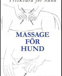Massage och Stretching för hund